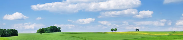 Global Activities & Contributions